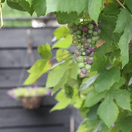 Hoeve Altena Appartement