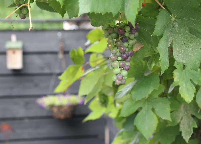 Hoeve Altena Apartmán